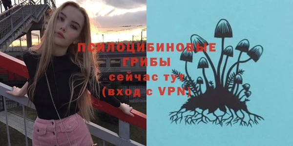 амфетамин Алексеевка
