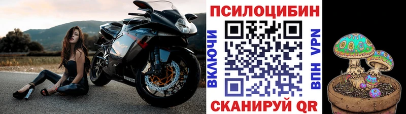 наркошоп Суровикино Галлюциногенные грибы прущие грибы